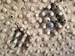 Some spaces were left more open to accentuate the plastic bottles.