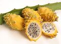 Fig.3 Yellow Dragon Fruit