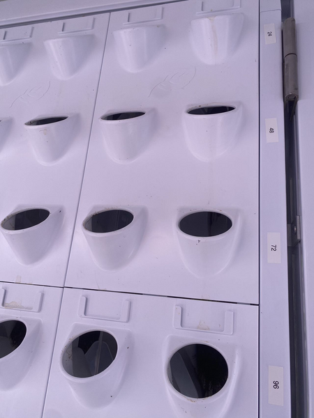File:Imafsgd.png