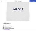Check all the information is correct and click "Use this image".