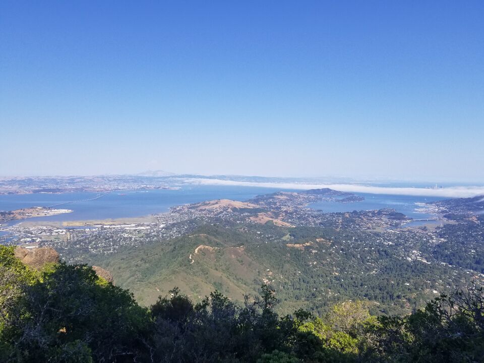 File:TamView.jpg