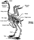 Thumbnail for version as of 15:20, 11 May 2007