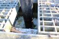 Allen Marsh Pipe water flow