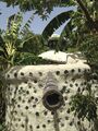 If the water tank fills up it overflows out a bamboo pipe into a garden.