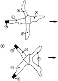 Thumbnail for version as of 01:26, 6 January 2007