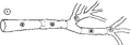 Thumbnail for version as of 01:26, 6 January 2007