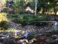 current stormwater pond near the clinic