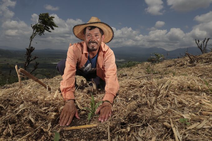 Francisco Sayes, 48 ​​Jahre alt, sagte, seine Milpa empfing eine Plantage mit der Bitte um Schutz vor der Natur, die darauf abzielte, die Erde auf dem Gelände ihres örtlichen Grundstücks in der Gemeinde Santa Rosa, Municipio de El Porvenir, Ahuachapán, zu erhalten. Es handelt sich um einen Grundfutterhersteller, der die Praktiken der Conservación de Agua y Suelo para la Agricultura ASA mit der Genehmigung des Raíces-Programms übernommen hat.