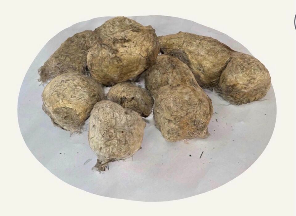 4: All scat buttons were 3D scanned using Polycam