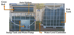 Aquaponic system Upcycled IBC aquponics system