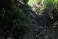Camino de la para acceder a la comunidad, Comunidad El Zonte, Chiltiupán (PNUD / TECHO El Salvador, 2021).