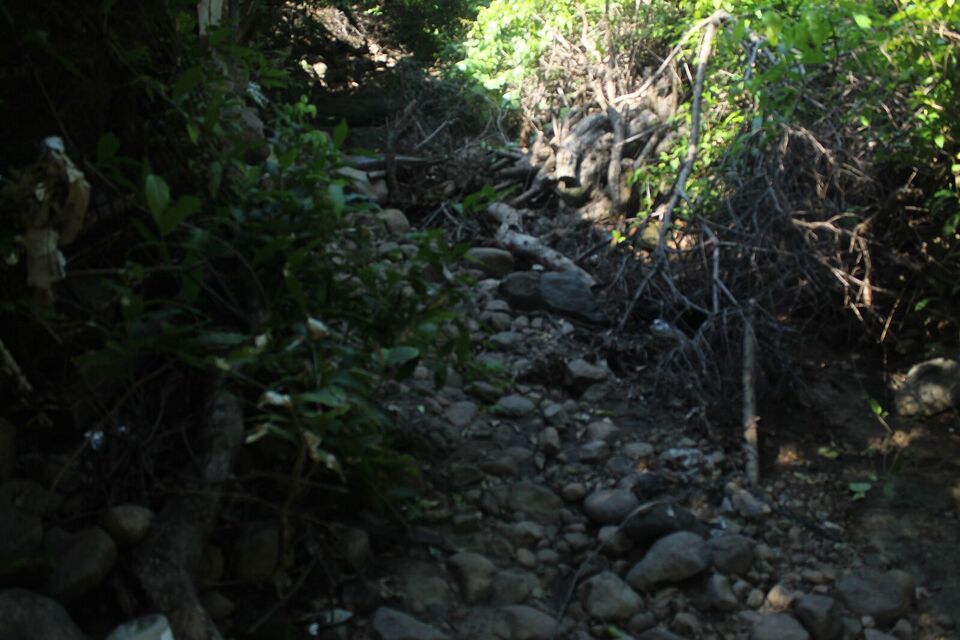 File:Camino de la comunidad.jpg