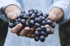 Grapes-agriv.jpg