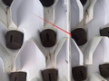 Thumbnail for version as of 22:37, 25 June 2024