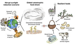 Nutrition in Abrupt Sunlight Reduction Scenarios: Envisioning Feasible Balanced Diets on Resilient Foods