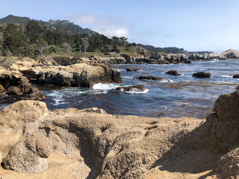File:Point Lobos Carmel.jpeg