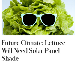 Future Climate: Lettuce Will Need Solar Panel Shade