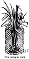 Thumbnail for version as of 01:25, 6 January 2007