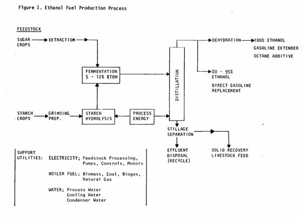 Figure 1: a schematic representation of the principal steps in fuel ethanol production.