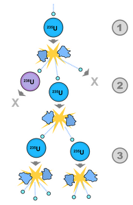 A chain reaction is started when the free neutrons from uranium-235 fission induce fission in other atoms