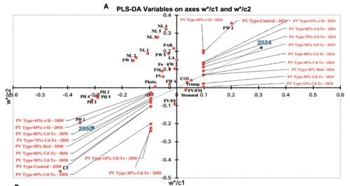 Integrating Amaranth and Agrivoltaics in the Creation and Assessment of Climate Resilient Food Systems