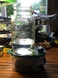 Magnetic Stir Plate))