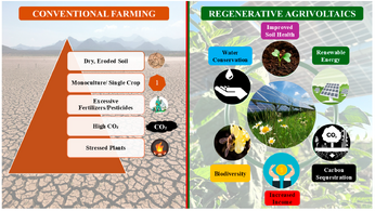Regenerative Agrivoltaics: Integrating Photovoltaics and Regenerative Agriculture for Sustainable Food and Energy Systems