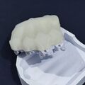 120px-WeArm-b-palm-molding4.jpg