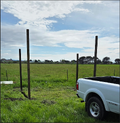 Early construction of Water-Den, framework of structure