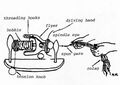 Thumbnail for version as of 01:22, 6 January 2007