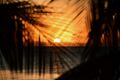 Thumbnail for version as of 23:23, 4 February 2024