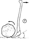 Thumbnail for version as of 01:26, 6 January 2007