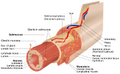 Thumbnail for version as of 20:21, 23 March 2026