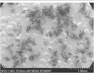 330px-Undispersed_Wood_Fiber.jpg