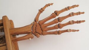 Wood hand.jpg