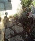 Stones placed for walkway