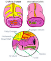 Thumbnail for version as of 18:57, 10 August 2021