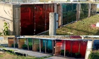 Semi-transparent neutral, red, green, and blue photovoltaics impacts on lettuce growth in agrivoltaic cold frames