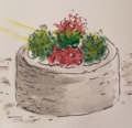 A drawn prototype of the planter