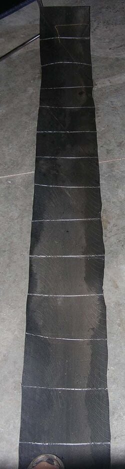 File:Tirestrip.jpg