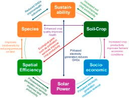 Agrivoltaics as a systems innovation: multi-dimensional benefits from global studies across climate, agriculture, energy, and ecosystems