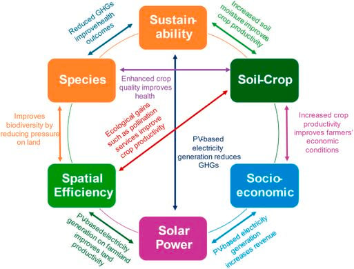 File:Agrivoltaics-system.jpg