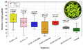 Some like it hot, some like it partially shaded: The effect of semi-transparent solar photovoltaic modules on the growth metrics of greenhouse cultivated spicy peppers
