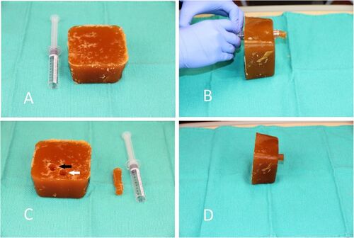 Four-panel photograph of a gelatin block ultrasound phantom and the cut-off syringe used to form its two lumens