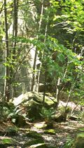 Thumbnail for version as of 19:04, 7 September 2007
