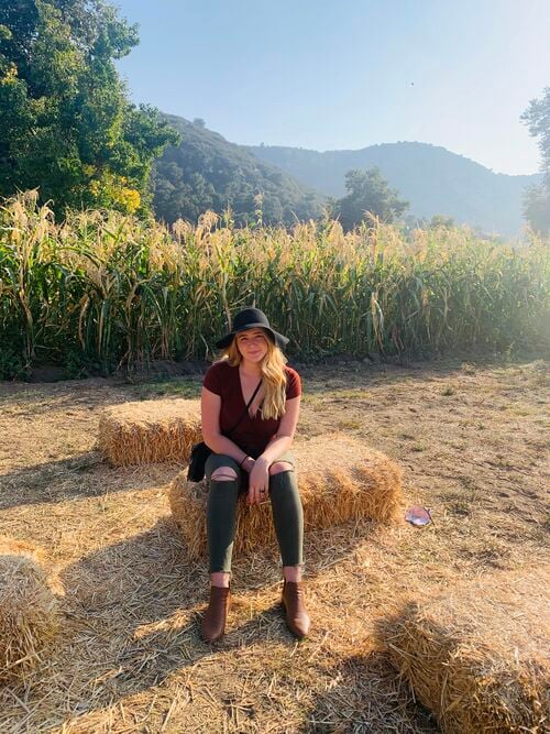 File:Pumpkin Patch.jpg