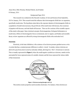 Background Paper 2014 Brice Messina Patrick Radatz.pdf