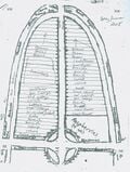 Thumbnail for version as of 21:38, 10 December 2008