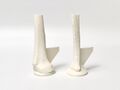 3D Printed Adult Female Tibial Bone Models 1 and 2.JPG