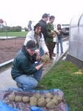 Thumbnail for version as of 01:14, 9 May 2006